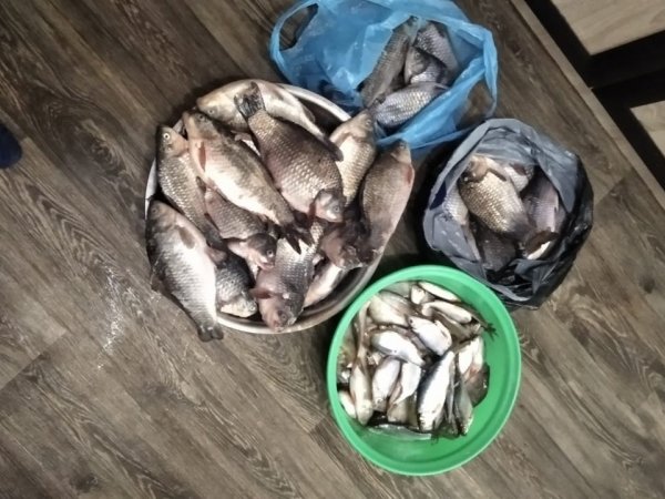 Ноябрьская рыбалка