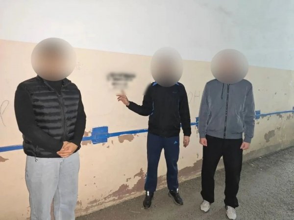 За настенную «живопись» оренбуржец заработал 5 административных протоколов
