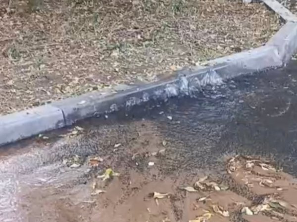 Вода шумным поток бьет из-под земли