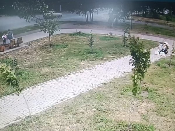 До 5 лет тюрьмы может грозить оренбурженке, поднявшей в парке потерянный кошелёк