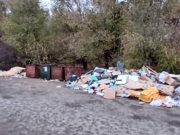 Прецедент создан: уборка четырех контейнерных площадок в Оренбурге возложена на управляющие компании