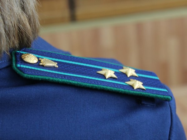За вывод госимущества и долг в четверть миллиона будут судить директора детского сада Крона