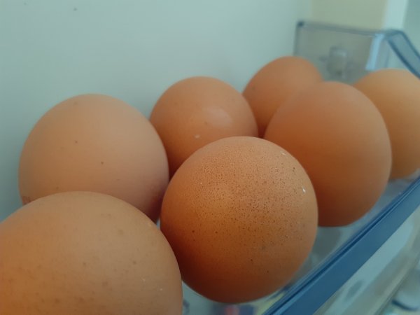 В Оренбуржье продолжают дорожать куриные яйца. И цены на мясо пошли в рост